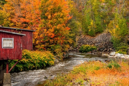 Picture of USA-VERMONT-STOWE-RED MILL ON LITTLE RIVER AS IT FLOWS SOUTH OF STOWE TO WINOOSKI RIVER-FALL FOLIAGE