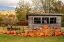 Picture of USA-VERMONT-STOWE-WEST HILL RD-PUMPKIN FIELD