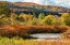 Picture of USA-VERMONT-STOWE FALL FOLIAGE ALONG LITTLE RIVER