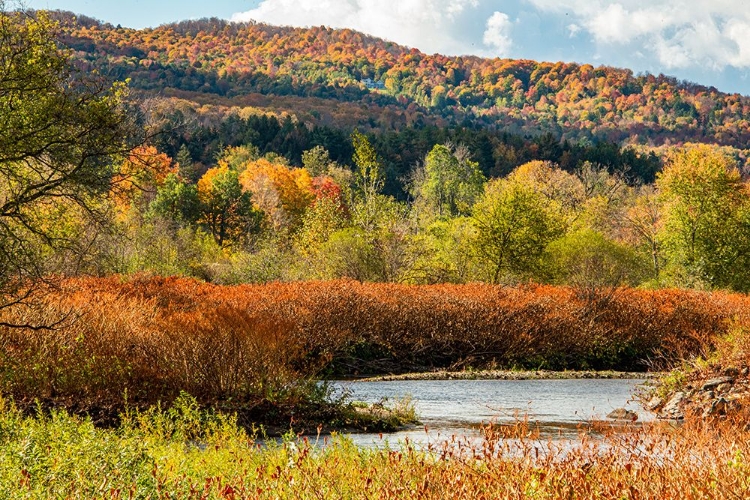 Picture of USA-VERMONT-STOWE FALL FOLIAGE ALONG LITTLE RIVER