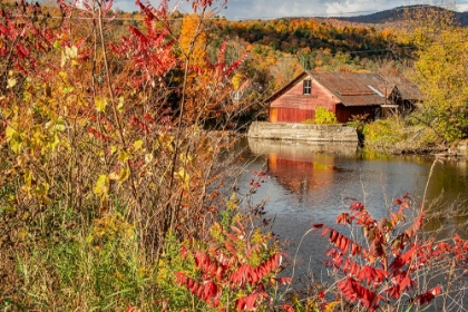 Picture of USA-VERMONT-MOSCOW-MILL ON LITTLE RIVER POND THERE-FALL FOLIAGE