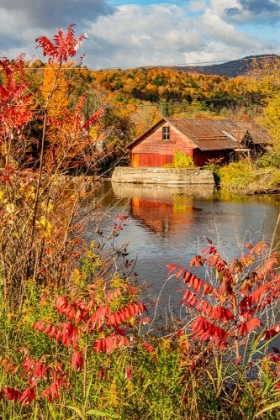 Picture of USA-VERMONT-MOSCOW-MILL ON LITTLE RIVER POND THERE-FALL FOLIAGE
