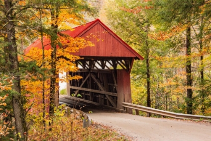 Picture of USA-VERMONT-STOWE-STERLING VALLEY ROAD COVERED BRIDGE IN FALL FOLIAGE