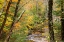 Picture of USA-VERMONT-STOWE-STERLING VALLEY TRIBUTARY TO LITTLE RIVER IN FALL FOLIAGE