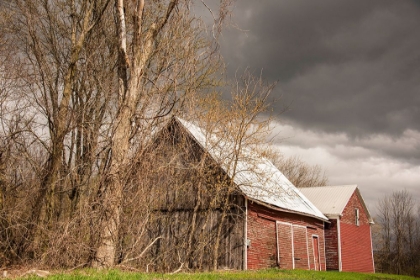 Picture of USA-VERMONT-CHAMPLAIN VALLEY-WEYBRIDGE-BARN