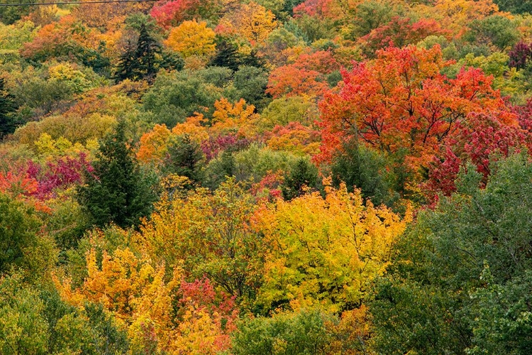 Picture of USA-VERMONT-NEW ENGLAND-STOWE MT MANSFIELD PARKING LOT VIEW