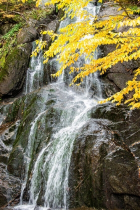 Picture of USA-VERMONT-FALL FOLIAGE IN MAD RIVER VALLEY ALONG TRAIL TO WARREN FALLS