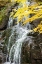 Picture of USA-VERMONT-FALL FOLIAGE IN MAD RIVER VALLEY ALONG TRAIL TO WARREN FALLS