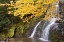 Picture of USA-VERMONT-FALL FOLIAGE IN MAD RIVER VALLEY ALONG TRAIL TO WARREN FALLS