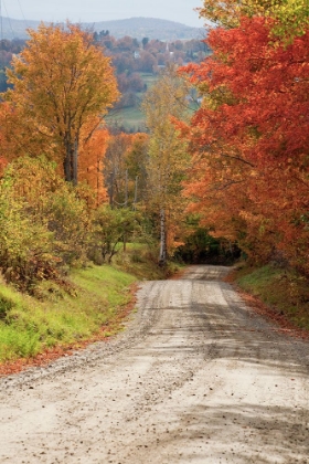 Picture of USA-NEW ENGLAND-VERMONT TREE-LINED ROADWAY IN AUTUMNS FALL COLORS