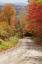 Picture of USA-NEW ENGLAND-VERMONT TREE-LINED ROADWAY IN AUTUMNS FALL COLORS