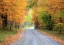 Picture of USA-NEW ENGLAND-VERMONT TREE-LINED ROADWAY IN AUTUMNS FALL COLORS