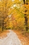 Picture of USA-NEW ENGLAND-VERMONT TREE-LINED ROADWAY IN AUTUMNS FALL COLORS
