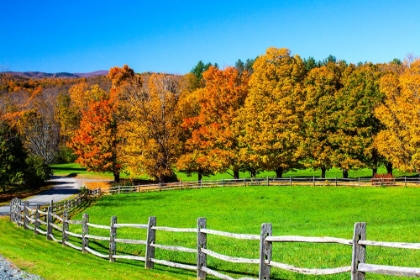 Picture of USA-NEW ENGLAND-VERMONT COUNTRYSIDE WITH CURVED GRAVEL ROAD FENCE IN AUTUMN