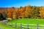 Picture of USA-NEW ENGLAND-VERMONT COUNTRYSIDE WITH CURVED GRAVEL ROAD FENCE IN AUTUMN