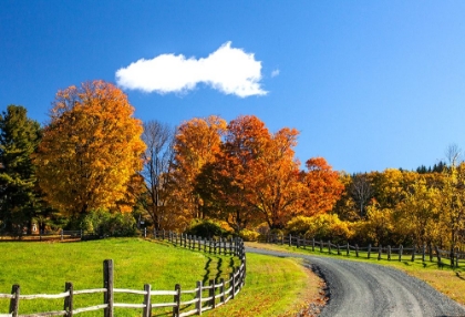 Picture of USA-NEW ENGLAND-VERMONT COUNTRYSIDE WITH CURVED GRAVEL ROAD FENCE IN AUTUMN