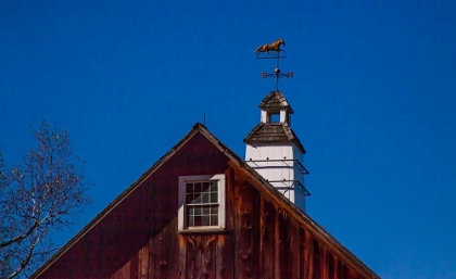 Picture of USA-NEW ENGLAND-VERMONT WEATHER VANE ON TOP OF WOODEN BARN TOPPED WITH HORSE