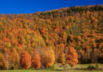 Picture of USA-NEW ENGLAND-VERMONT