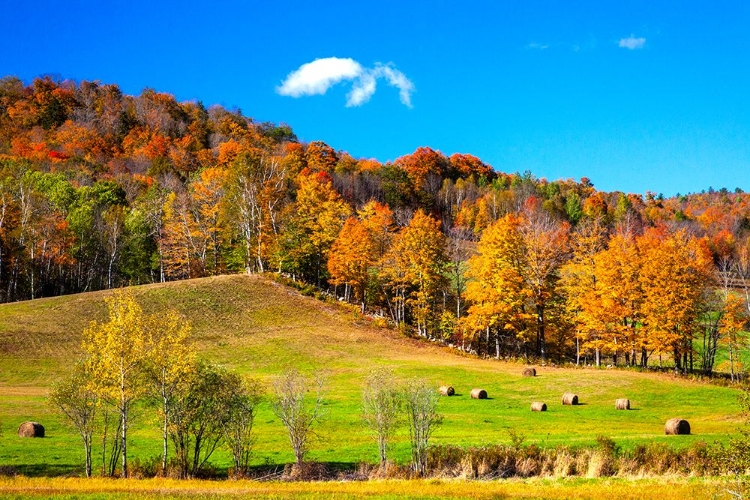 Picture of USA-NEW ENGLAND-VERMONT