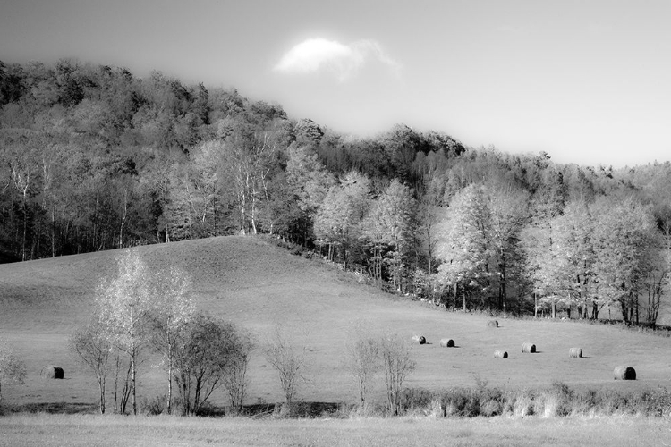 Picture of USA-NEW ENGLAND-VERMONT