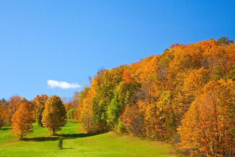 Picture of USA-NEW ENGLAND-VERMONT