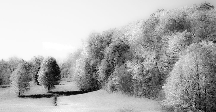 Picture of USA-NEW ENGLAND-VERMONT