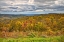 Picture of USA-VIRGINIA-SHENANDOAH NATIONAL PARK-FALL COLOR