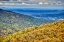 Picture of USA-VIRGINIA-SHENANDOAH NATIONAL PARK-FALL COLOR