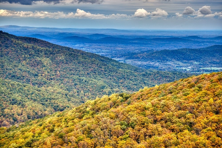 Picture of USA-VIRGINIA-SHENANDOAH NATIONAL PARK-FALL COLOR