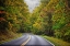 Picture of USA-VIRGINIA-SHENANDOAH NATIONAL PARK-FALL COLOR ALONG SKYLINE DRIVE