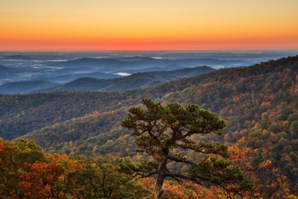 Picture of USA-VIRGINIA-SHENANDOAH NATIONAL PARK-SUNRISE ALONG SKYLINE DRIVE IN THE FALL