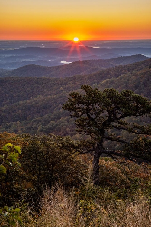 Picture of USA-VIRGINIA-SHENANDOAH NATIONAL PARK-SUNRISE ALONG SKYLINE DRIVE IN THE FALL