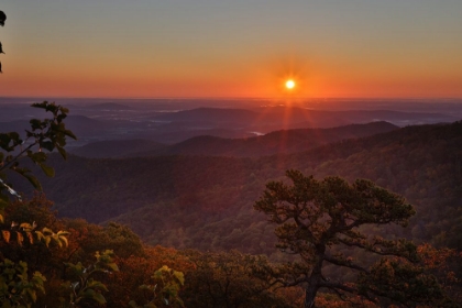 Picture of USA-VIRGINIA-SHENANDOAH NATIONAL PARK-SUNRISE ALONG SKYLINE DRIVE IN THE FALL