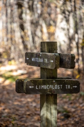 Picture of USA-VIRGINIA-SHENANDOAH NATIONAL PARK-WOODEN TRAIL MARKER FOR THE WHITE OAK TRAIL AND LIMBERLOST TR