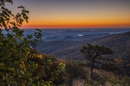 Picture of USA-VIRGINIA-SHENANDOAH NATIONAL PARK-SUNRISE ALONG SKYLINE DRIVE IN THE FALL