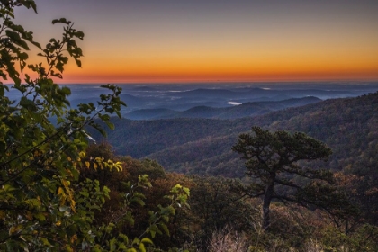 Picture of USA-VIRGINIA-SHENANDOAH NATIONAL PARK-SUNRISE ALONG SKYLINE DRIVE IN THE FALL