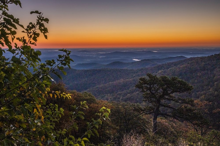 Picture of USA-VIRGINIA-SHENANDOAH NATIONAL PARK-SUNRISE ALONG SKYLINE DRIVE IN THE FALL