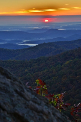 Picture of USA-VIRGINIA-SHENANDOAH NATIONAL PARK-SUNRISE ALONG SKYLINE DRIVE IN THE FALL