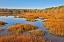 Picture of USA-VIRGINIA-ALEXANDRIA-HUNTLEY MEADOWS PARK AND FALL COLOR