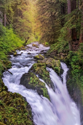 Picture of SOL DUC RIVER AND FALLS-OLYMPIC NATIONAL PARK-WASHINGTON STATE