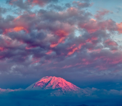 Picture of MT RAINIER AT SUNSET-WASHINGTON STATE
