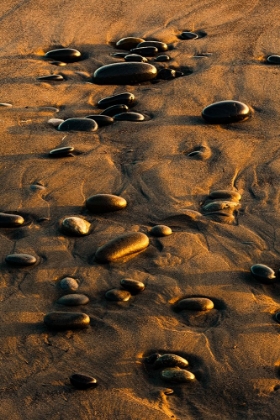 Picture of PATTERN OF SMOOTH ROUND STONES ON BEACH AT SUNSET-OLYMPIC NATIONAL PARK-WASHINGTON STATE