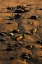 Picture of PATTERN OF SMOOTH ROUND STONES ON BEACH AT SUNSET-OLYMPIC NATIONAL PARK-WASHINGTON STATE