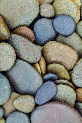 Picture of PATTERN OF SMOOTH ROUNDED STONES ON BEACH-OLYMPIC NATIONAL PARK-WASHINGTON STATE