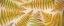 Picture of USA-WASHINGTON STATE-SEABECK PANORAMIC OF BRACKEN FERN PATTERN