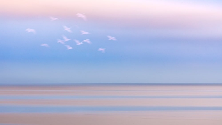 Picture of USA-WASHINGTON STATE-SEABECK PASTEL SUNRISE PANORAMIC OVER HOOD CANAL