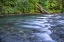 Picture of USA-WASHINGTON STATE-OLYMPIC NATIONAL FOREST RAPIDS ON DUCKABUSH RIVER