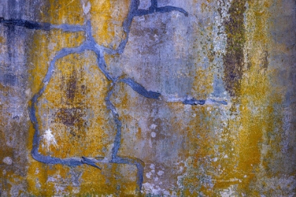 Picture of USA-WASHINGTON STATE-FORT FLAGLER STATE PARK ABSTRACT PATTERN OF WEATHERED WALL