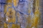 Picture of USA-WASHINGTON STATE-FORT FLAGLER STATE PARK ABSTRACT PATTERN OF WEATHERED WALL