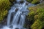 Picture of USA-WASHINGTON STATE-OLYMPIC NATIONAL PARK CEDAR CREEK CASCADES THROUGH MOSS- COVERED BOULDERS